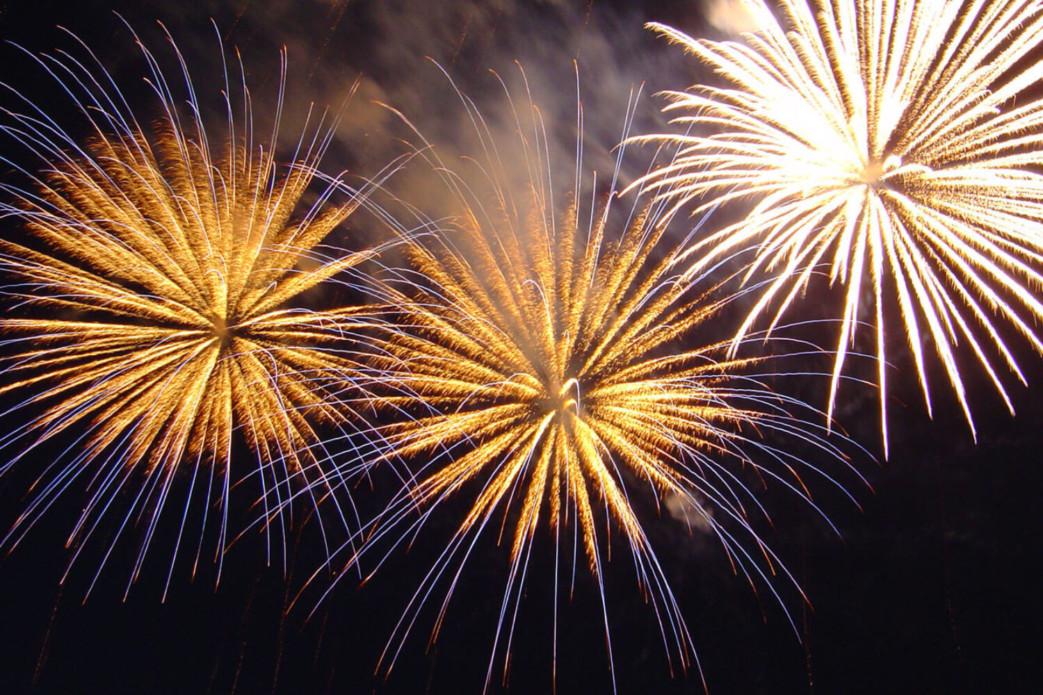 Wir wünschen allen Mitgliedern und Freunden ein Frohes Neues Jahr