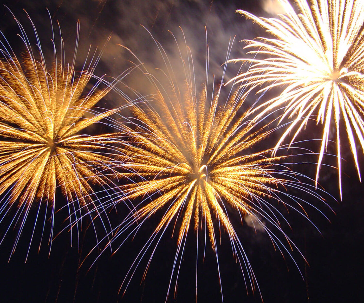 Wir wünschen allen Mitgliedern und Freunden ein Frohes Neues Jahr